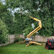  Linden, MI Tree Services Pros