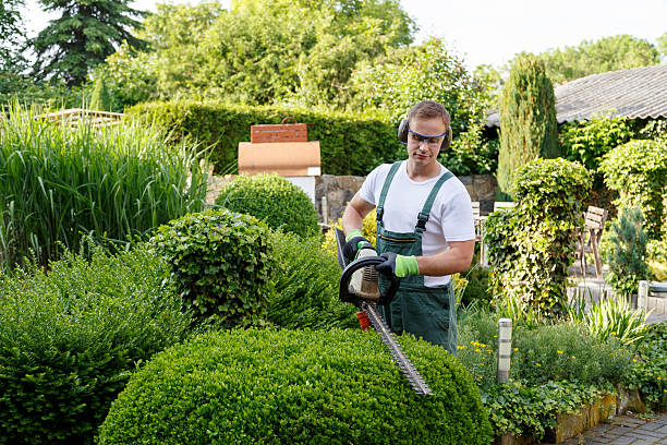 Best Organic Lawn Care Solutions  in Linden, MI